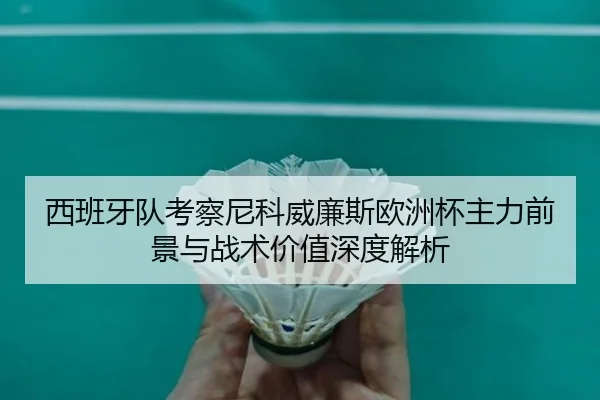 西班牙队考察尼科威廉斯欧洲杯主力前景与战术价值深度解析